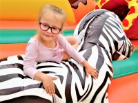 /album/fotogalerie-centrum-safari-8m-s-x-6m-d-x-3-44m-v/safari-zebra-jpg1/